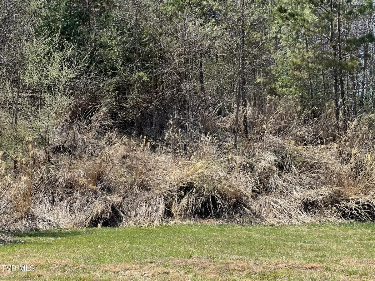 Clintwood, VA 24228,Tbd Charles ST