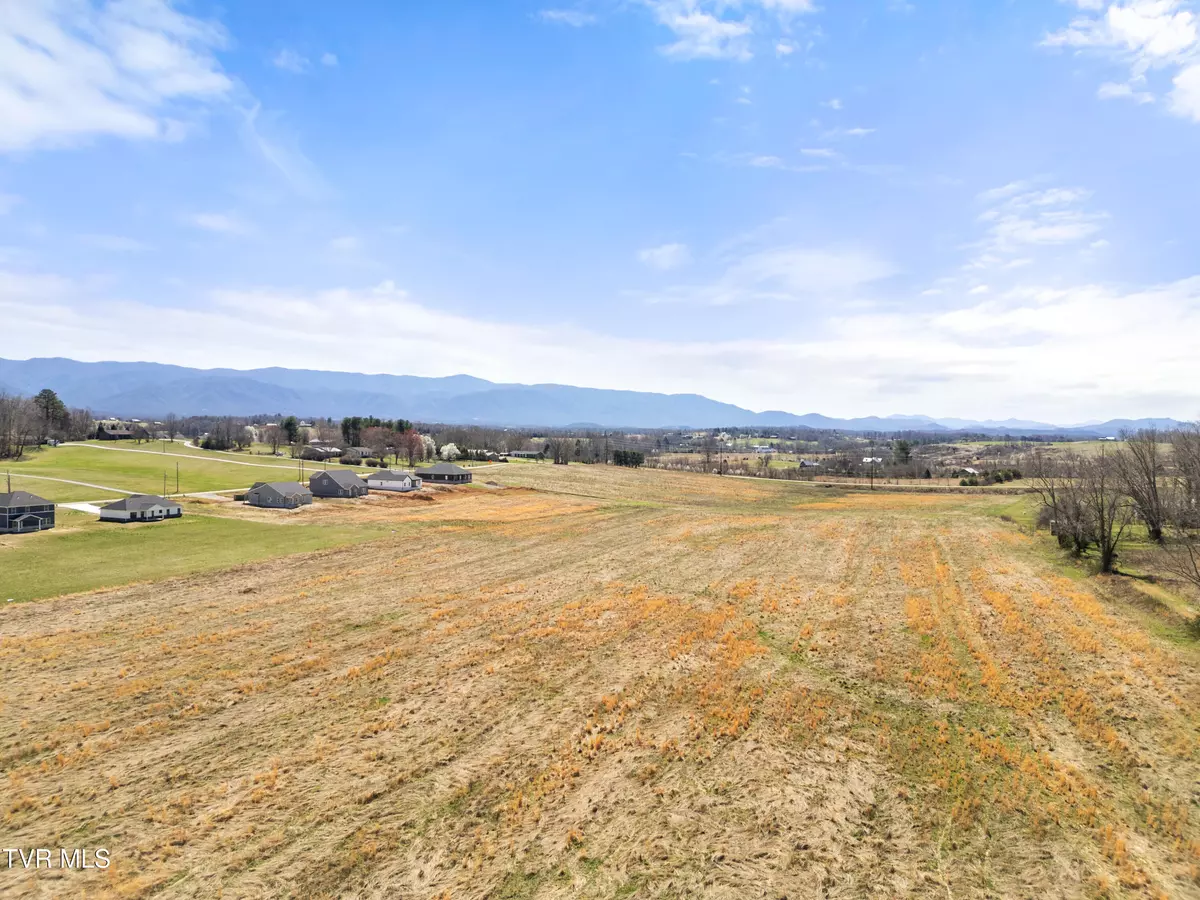 Afton, TN 37616,Lot 20 Greenwood RD