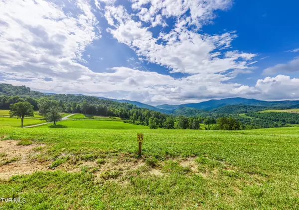Butler, TN 37640,Lot 33 High Meadows DR
