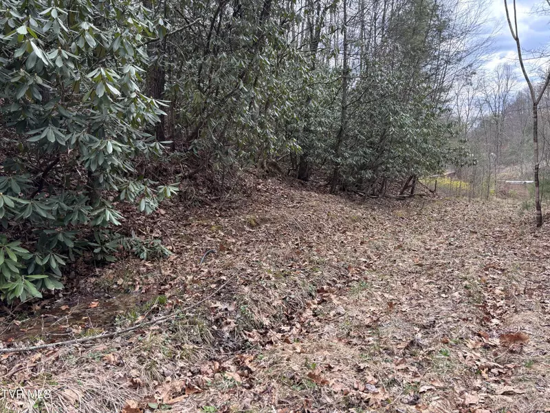00 Robinson Hollow LN, Mountain City, TN 37683