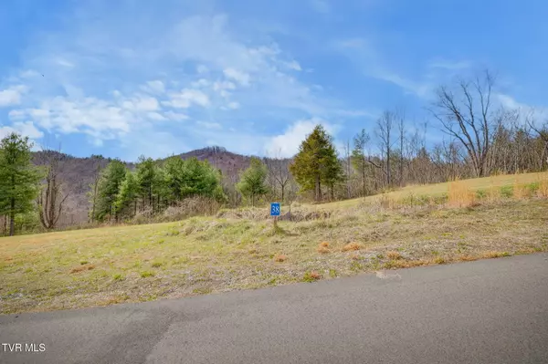 Butler, TN 37640,Lot 38 Cowan Town RD