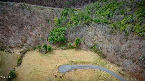 Butler, TN 37640,Lot 38 Cowan Town RD