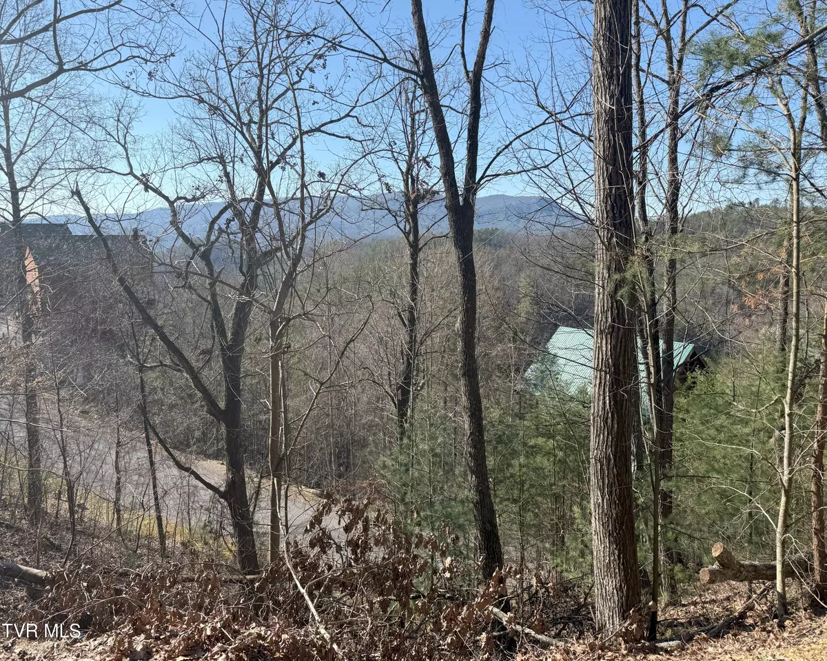 Pigeon Forge, TN 37863,Lot 155r Black Bear Cub WAY
