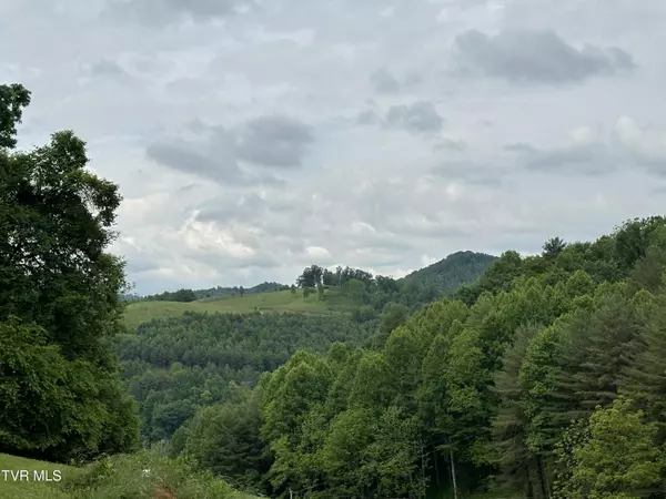 Butler, TN 37640,Lot 8 High Country Rd Pvt RD