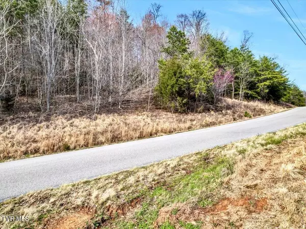 New Tazewell, TN 37825,Lot 553 Whistle Valley RD