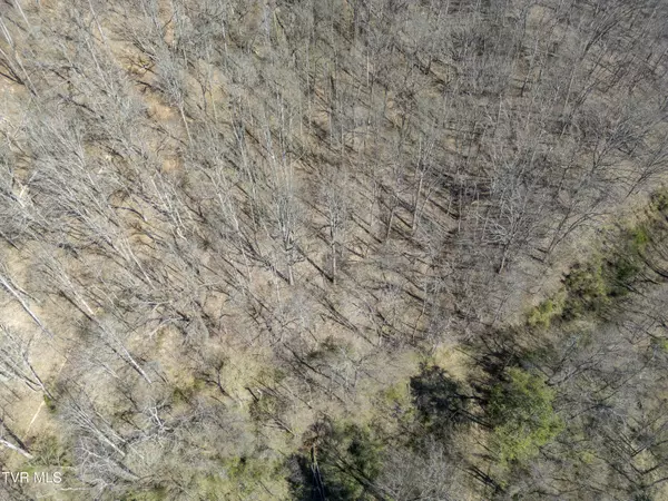 Saltville, VA 24370,Tbd Clark ST