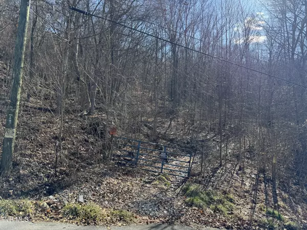 Kingsport, TN 37660,1024 Boyd Path CT
