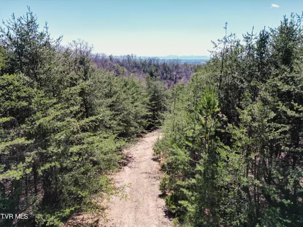 Bulls Gap, TN 37711,Tbd Stone Mountain Rd.