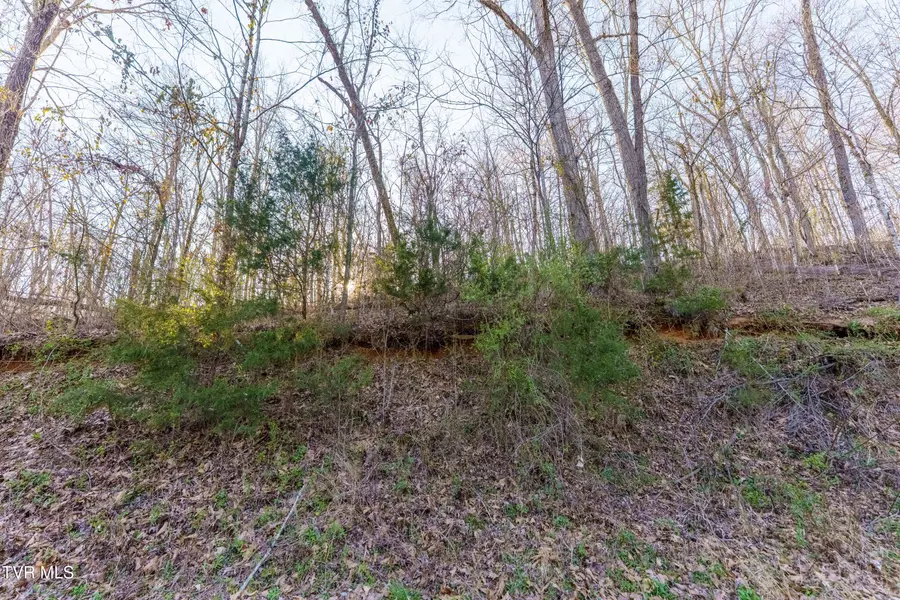 34 Ac Douglas Dam RD, Kodak, TN 37764