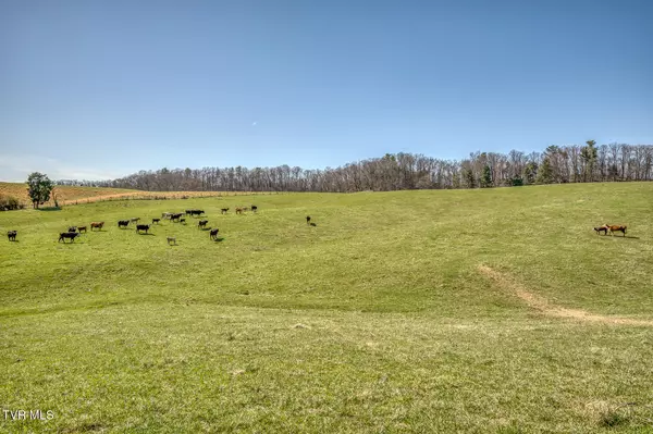 Bristol, TN 37620,Tbd Highway 44 #Lot 7