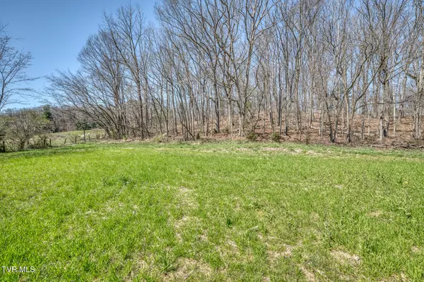 Bristol, TN 37620,Tbd Highway 44 #Lot 12