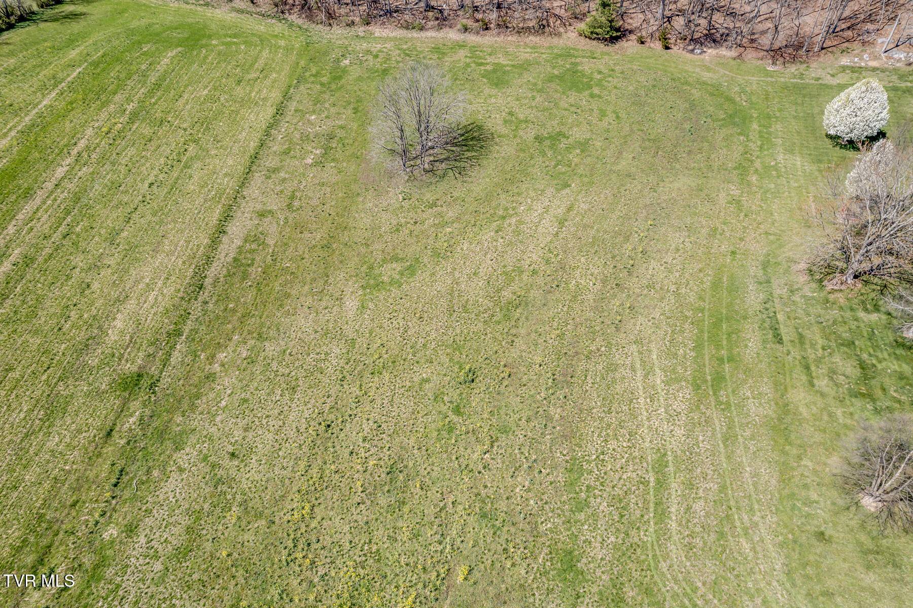 Bristol, TN 37620,Tbd Highway 44 #Lot 12