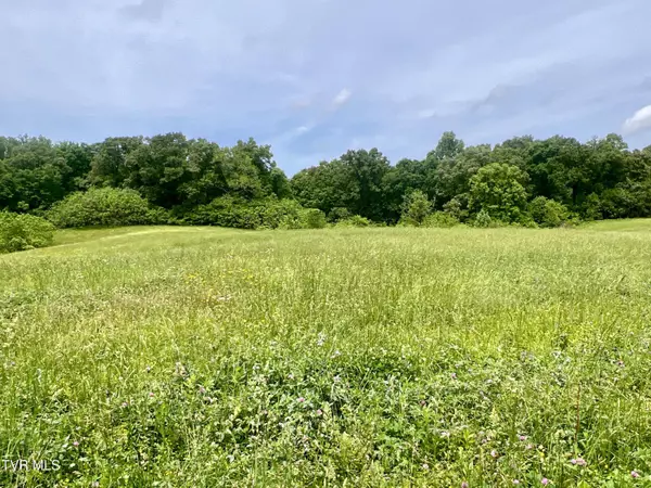 Morristown, TN 37813,58/Ac Tbd River View DR #2