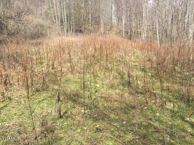 Roan Mountain, TN 37687,00 Heaton Branch RD