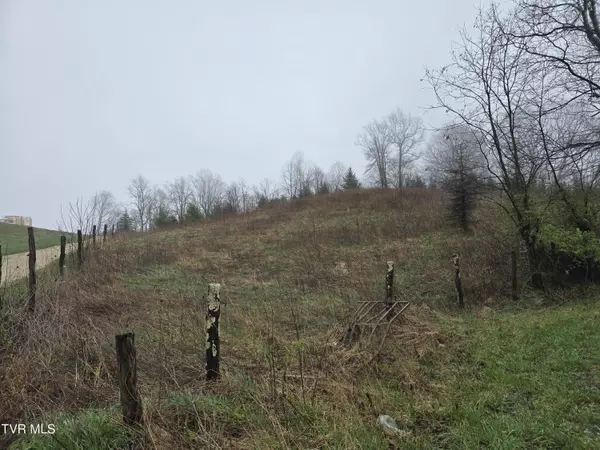 000 Walnut Mountain RD, Roan Mountain, TN 37687