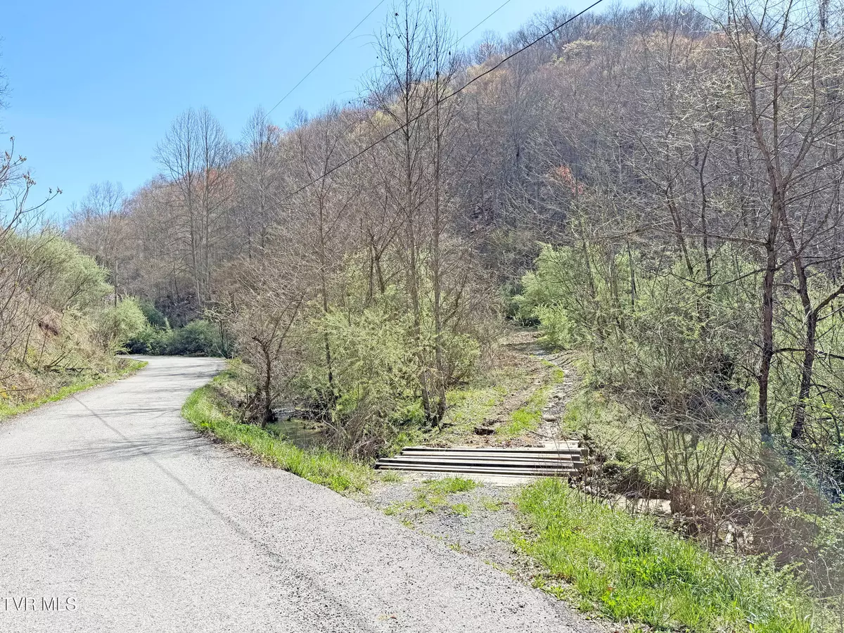 Hurley, VA 24620,0 Guesses Fork