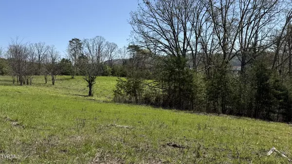 Bean Station, TN 37708,Lot 52 Bayside BLVD