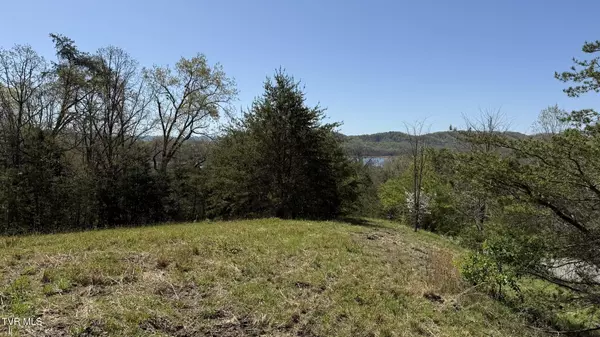 Bean Station, TN 37708,Lot 52 Bayside BLVD