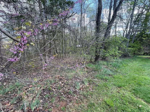 Blountville, TN 37617,354 Glasgow LN