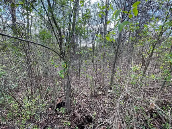 Blountville, TN 37617,354 Glasgow LN