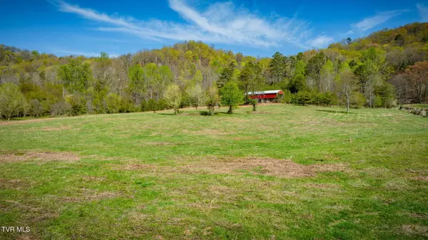 Surgoinsville, TN 37873,Tbd Stanley Valley RD