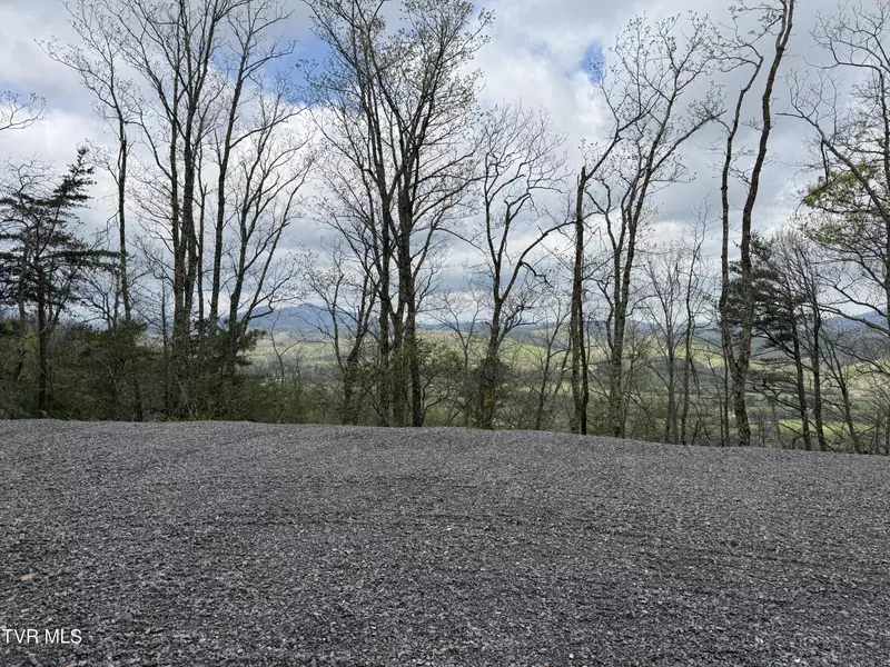 3.93 Acres Green Forest RD, Cosby, TN 37722