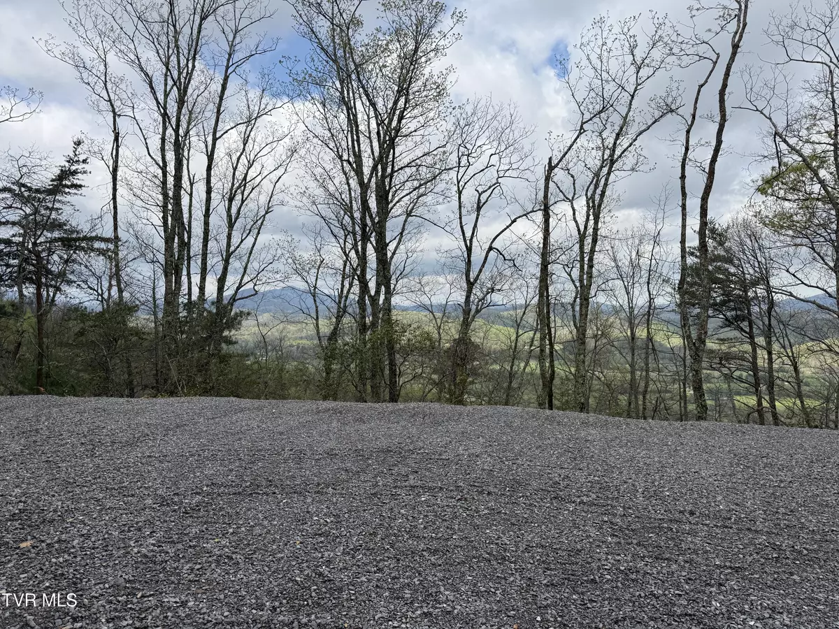 Cosby, TN 37722,3.93 Acres Green Forest RD