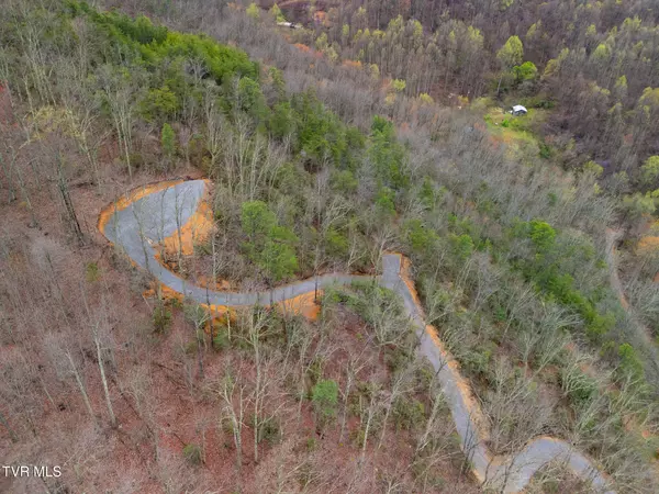 Cosby, TN 37722,3.93 Acres Green Forest RD