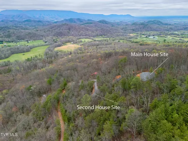 Cosby, TN 37722,3.93 Acres Green Forest RD