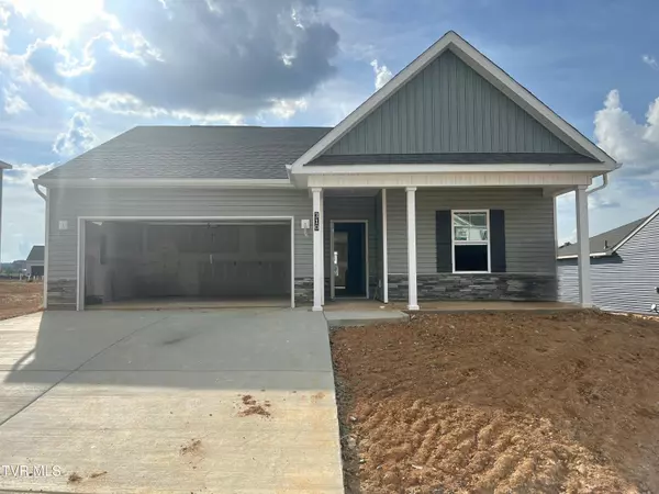 310 Cookie Loop, Gray, TN 37615