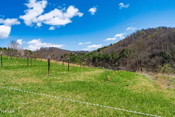 Trade, TN 37691,9676 Hwy 421 South