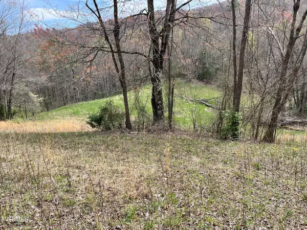 Butler, TN 37640,00 Heaton Branch RD