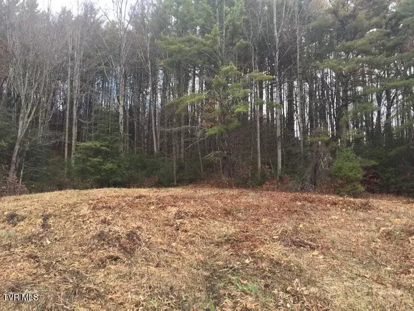 Butler, TN 37640,00 Heaton Branch RD