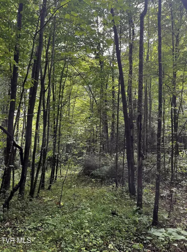 Butler, TN 37640,1259 Heaton Branch RD