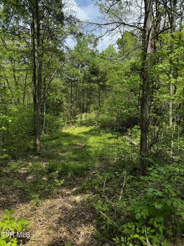 Greeneville, TN 37745,5.23 Ac Dogwalk RD