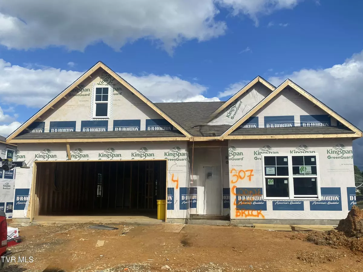 Gray, TN 37615,307 Cookie Loop