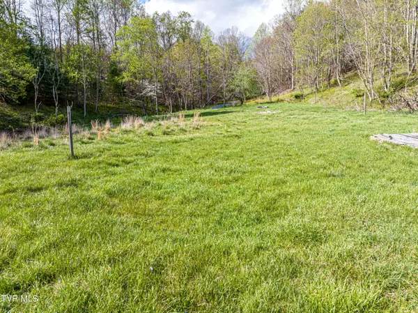 Damascus, VA 24236,513 Beadwood LN
