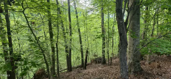 Mooresburg, TN 37811,1445 Echota LN