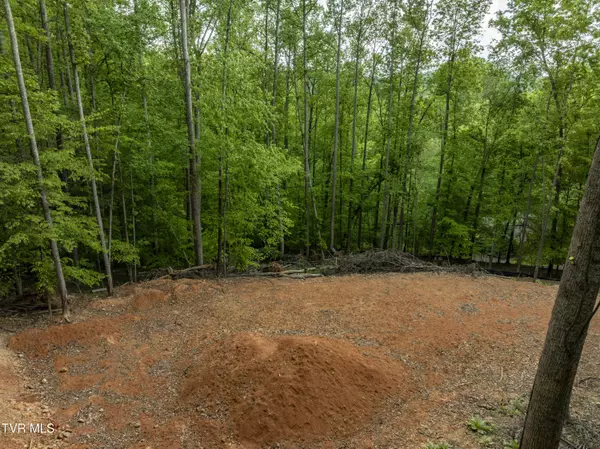 Kingsport, TN 37664,Lot 6 Briarwood RD