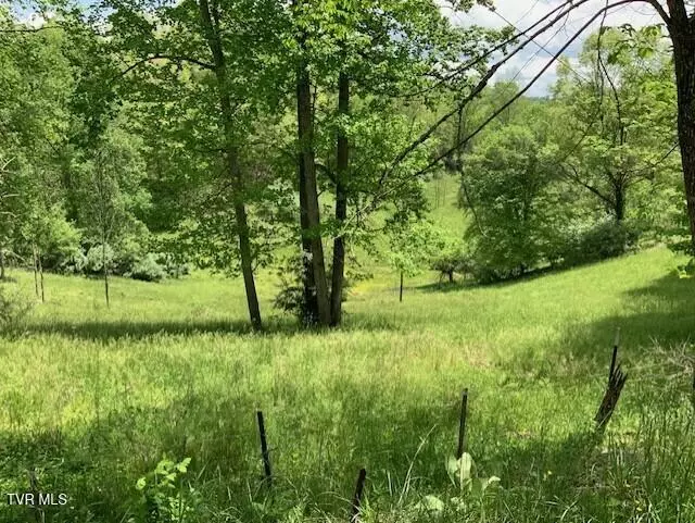 1478 Bellamy Tipton Road, Gate City, VA 24251