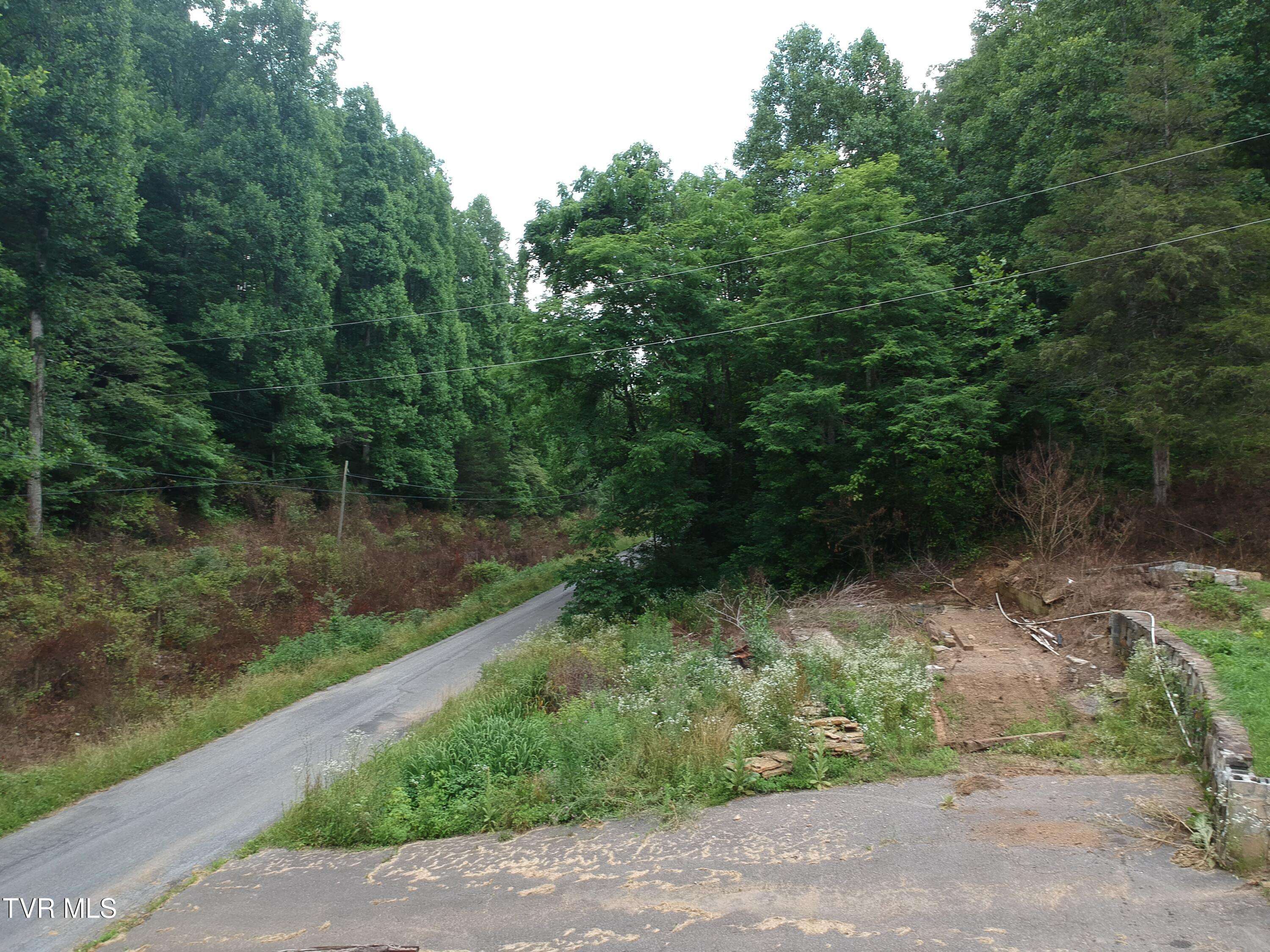 Meadowview, VA 24361,29188 Chestnut RD