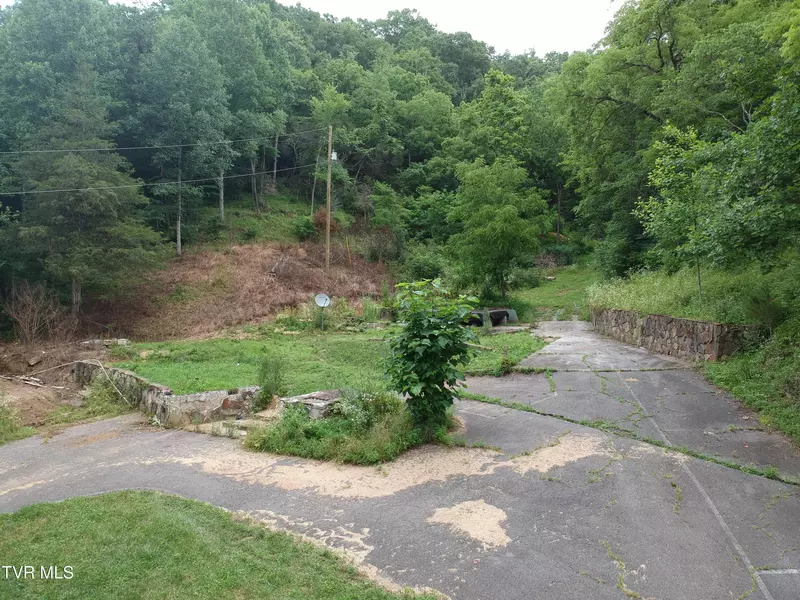 29188 Chestnut RD, Meadowview, VA 24361