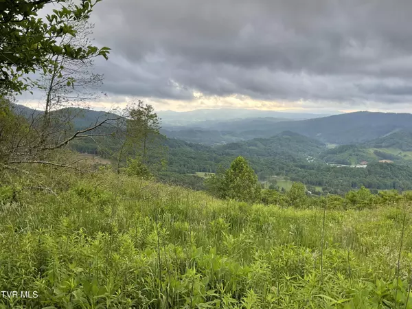 Trade, TN 37691,Tbd Moddock RD