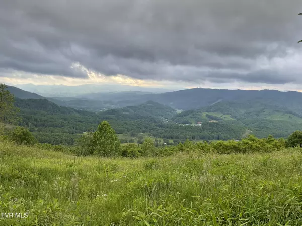 Trade, TN 37691,Tbd Moddock RD