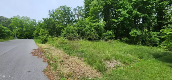 Mount Carmel, TN 37645,Tbd Willow ST