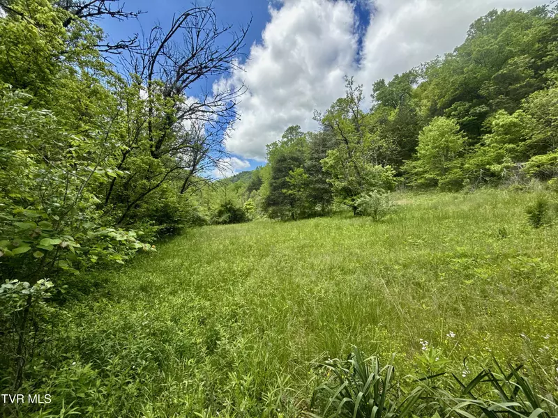 47/Ac Tbd Enoch Rd, Eidson, TN 37731