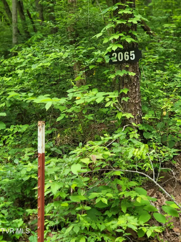 Mohawk, TN 37810,2065 Dyer Hollow RD