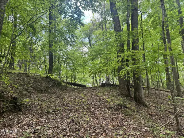 Flag Pond, TN 37657,4090 Old Asheville HWY