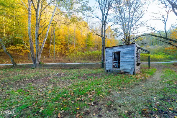 Hiltons, VA 24258,1668 Fowlers Br RD