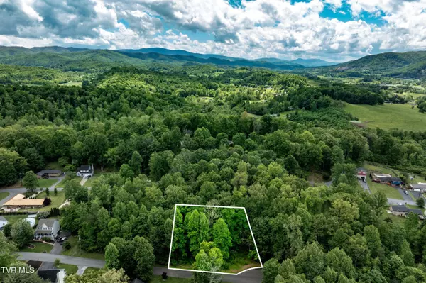 Johnson City, TN 37604,Tbd Victor DR